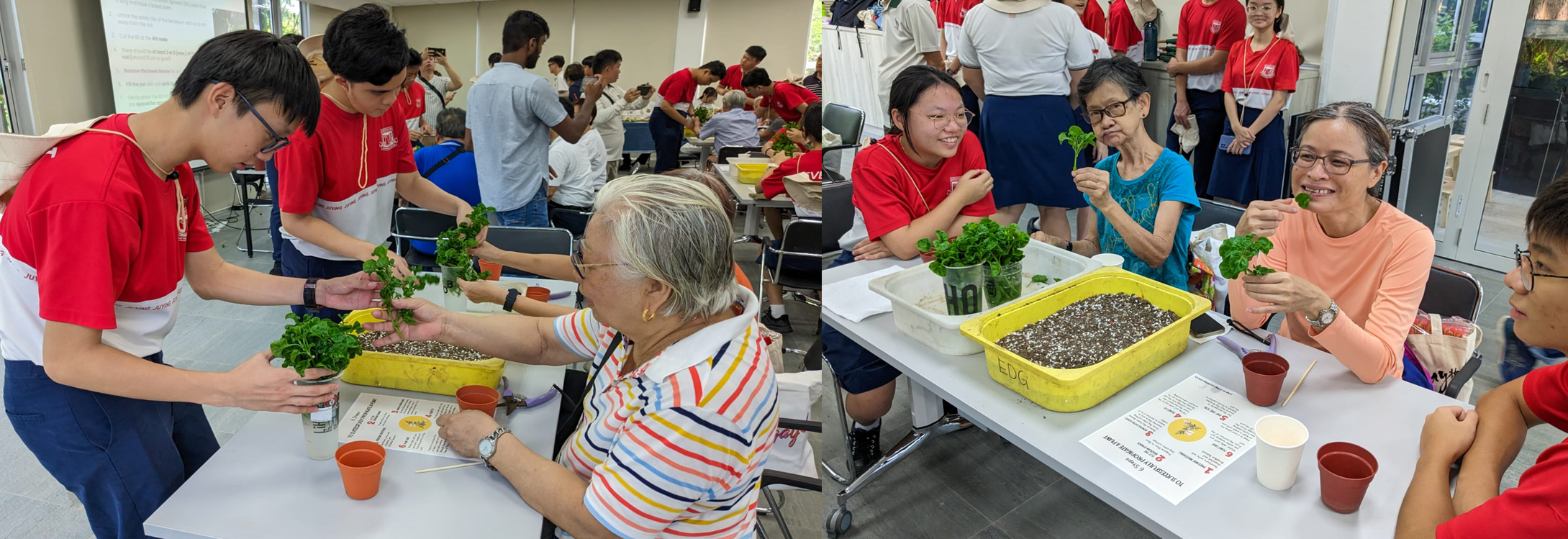Plant propagation activities with the community